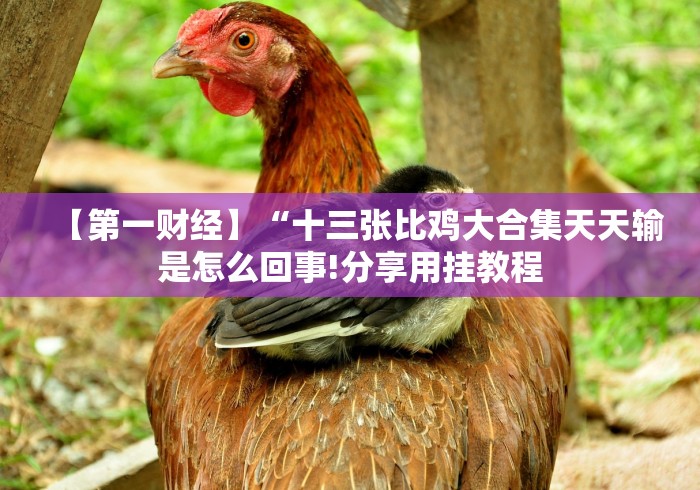 【第一财经】“十三张比鸡大合集天天输是怎么回事!分享用挂教程 【第一财经】“十三张比鸡大合集天天输是怎么回事!分享用挂教程