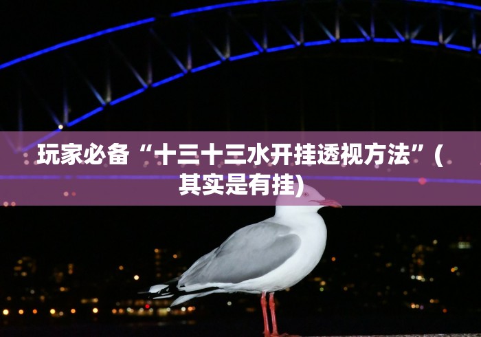 玩家必备“十三十三水开挂透视方法”(其实是有挂)